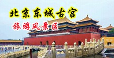 用力插逼操逼干逼国外中国北京-东城古宫旅游风景区